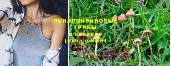PSILOCYBIN Абаза