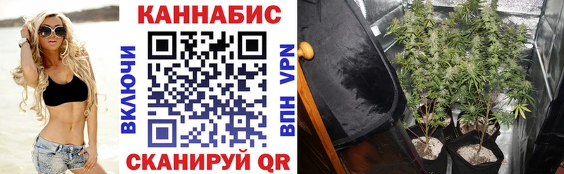 МАРИХУАНА семена Красавино